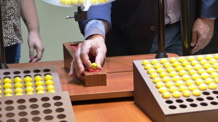 Resultados del sorteo de 14 viviendas para Ibicuy